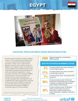 UNICEF Profile: FGM in Egypt (February 2016)